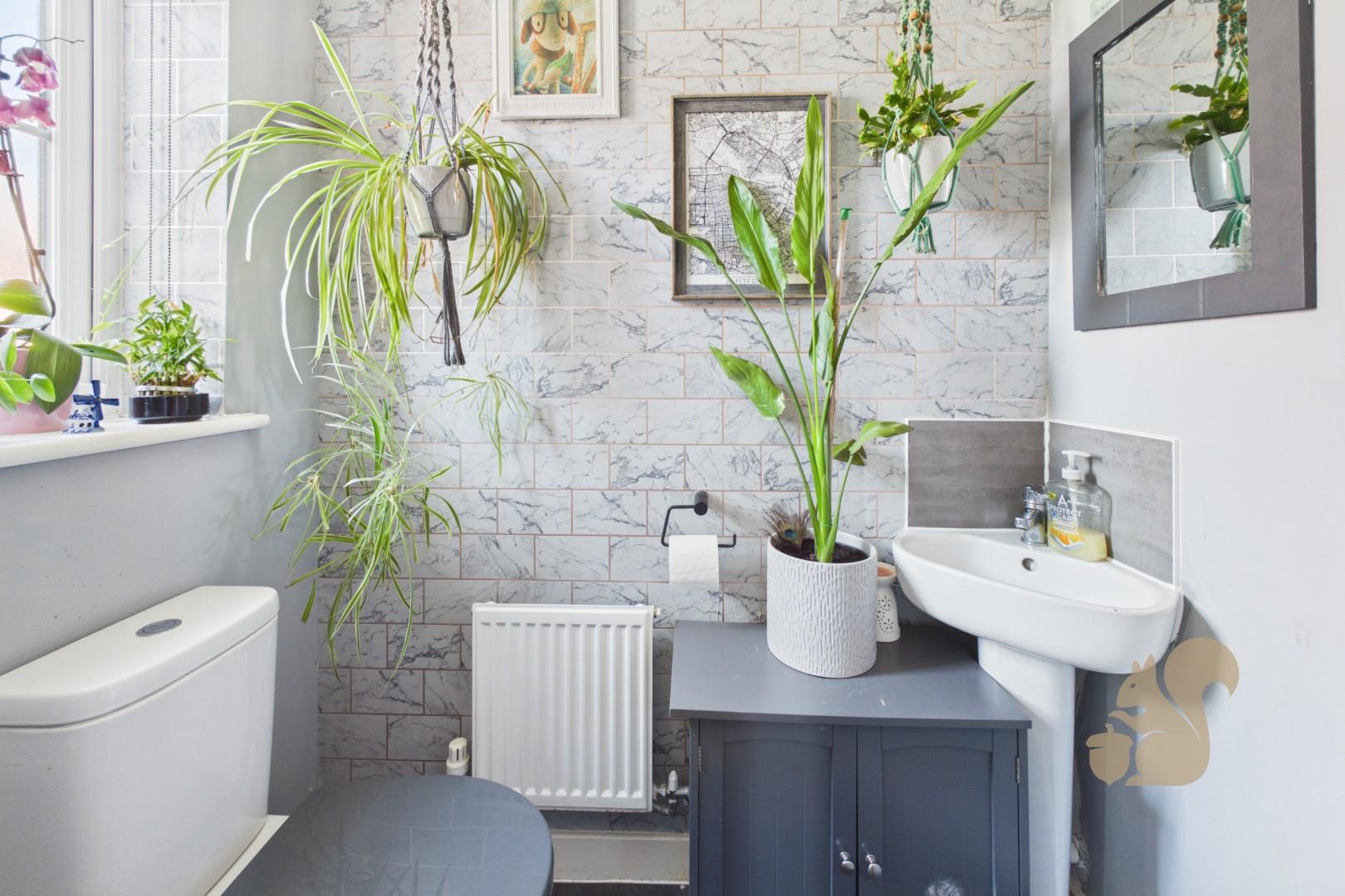 Ground Floor Cloakroom